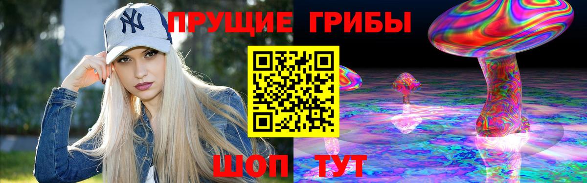 Галлюциногенные грибы ЛСД Зима