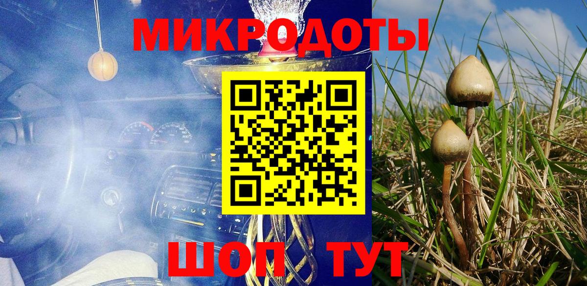 Зима  Галлюциногенные грибы MAGIC MUSHROOMS  Вход с VPN 